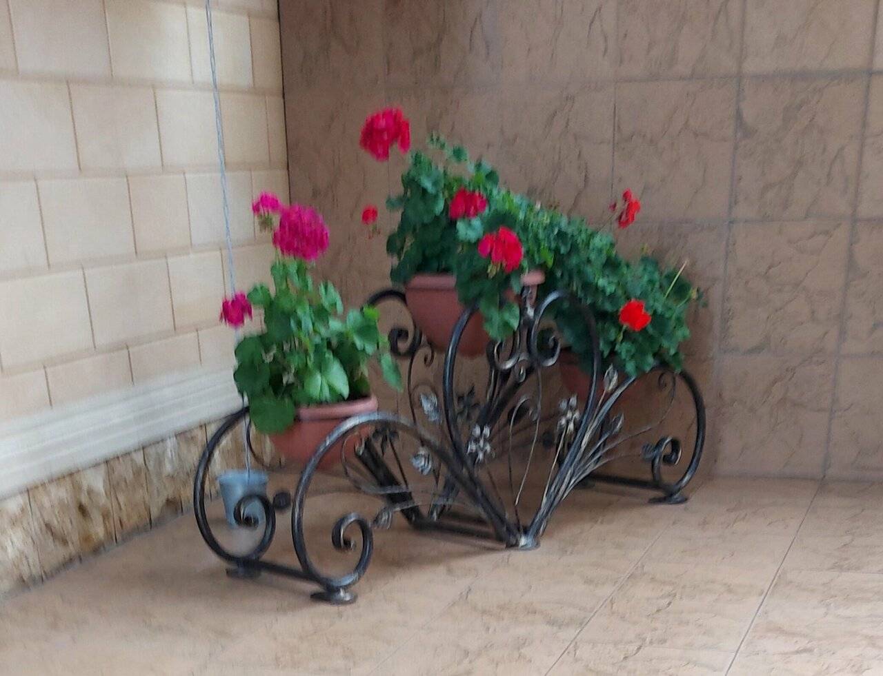 Фото Гостевого дома Парус Головинка 29