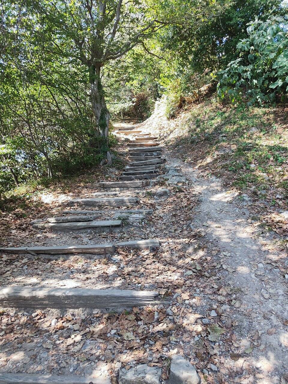Фото Гостевого дома Парус Головинка 44