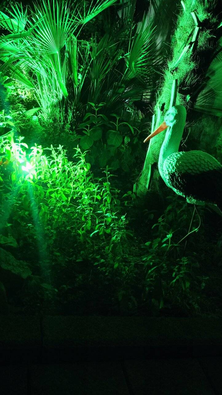 Фото Гостевого дома Парус Головинка 37