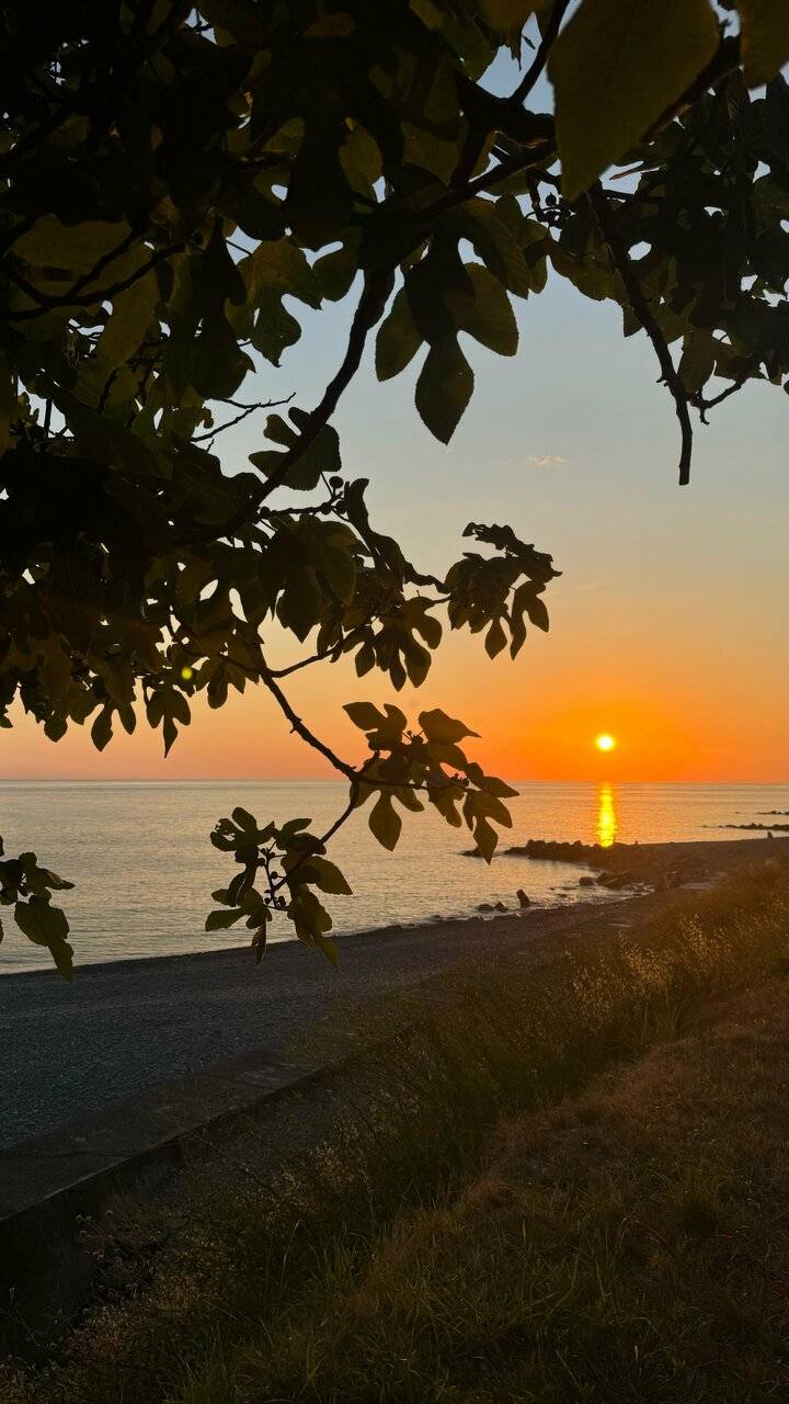 Фото Гостевого дома Парус Головинка 66