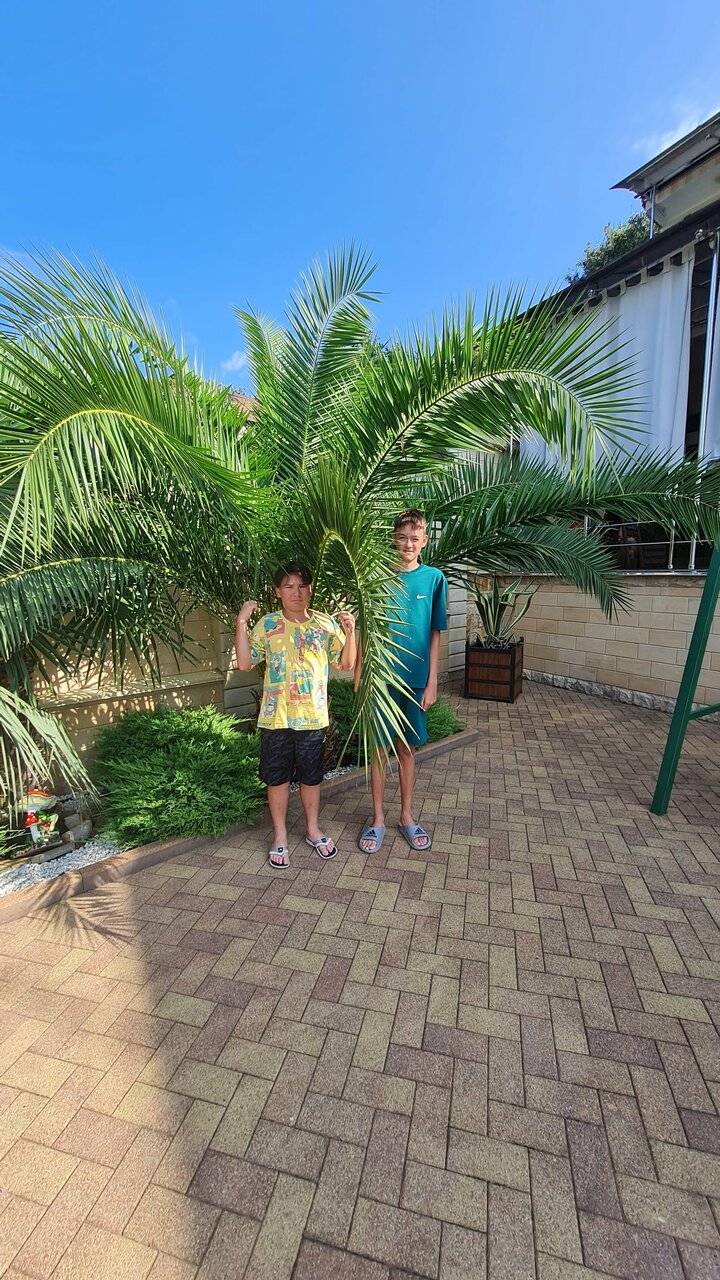 Фото Гостевого дома Парус Головинка 118