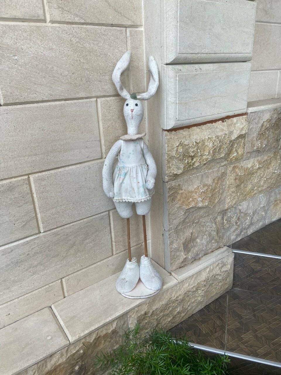 Фото Гостевого дома Парус Головинка 77