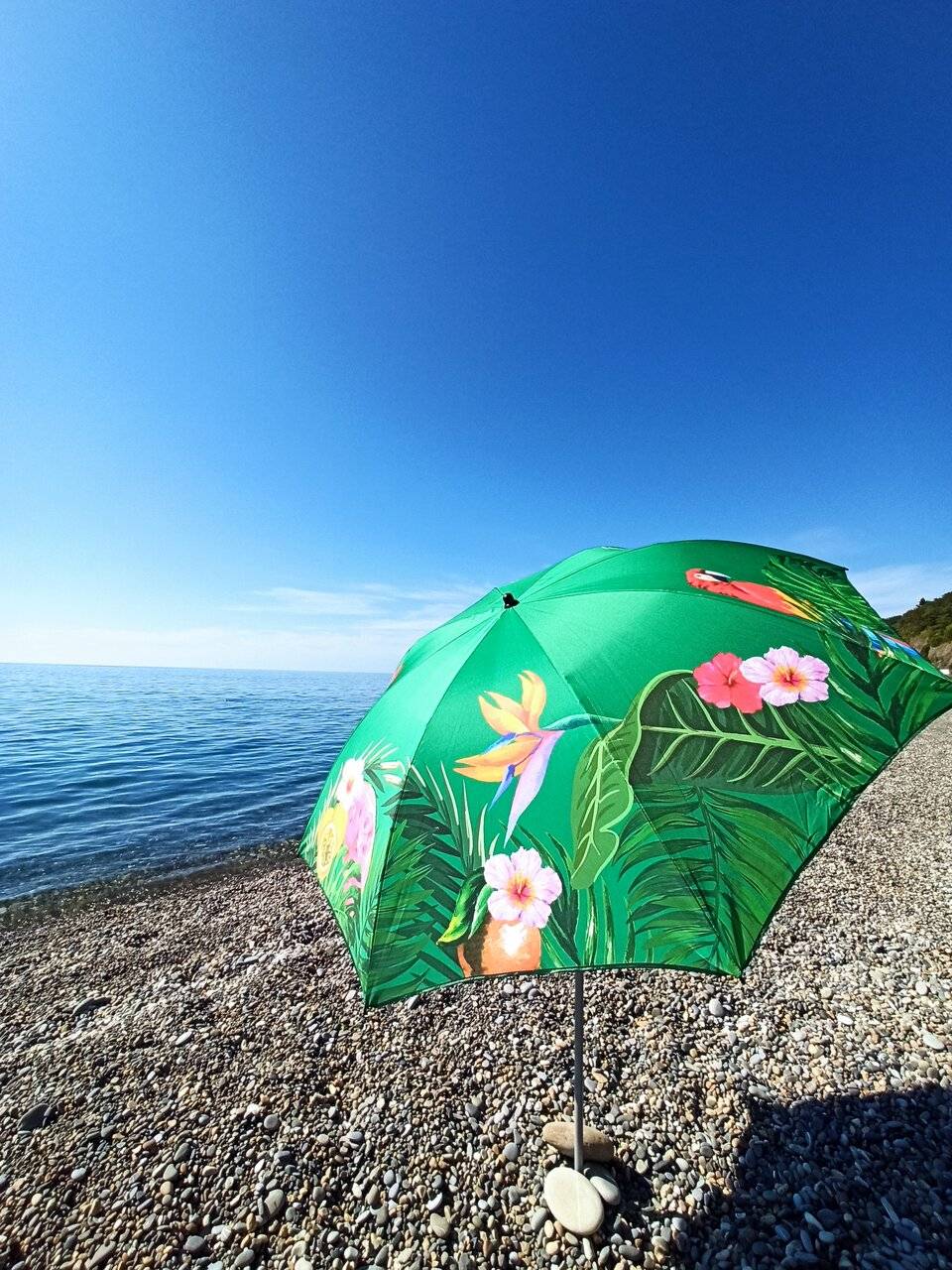 Фото Гостевого дома Парус Головинка 50